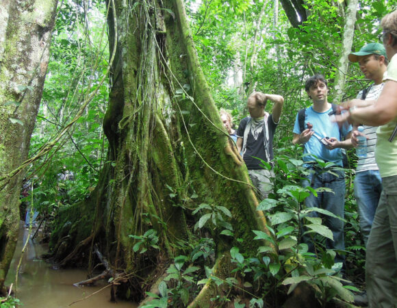 Mabira forest Uganda