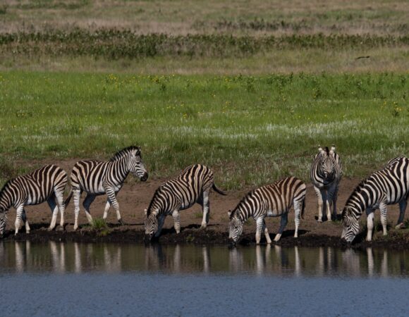 Best time to visit Southern Beaches